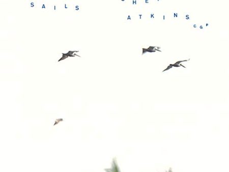 ATKINS, CHET - SAILS Online now